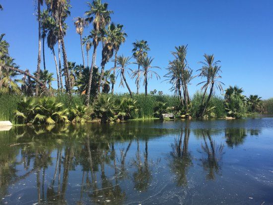 San Jose's Estuary and Bird Sanctuary